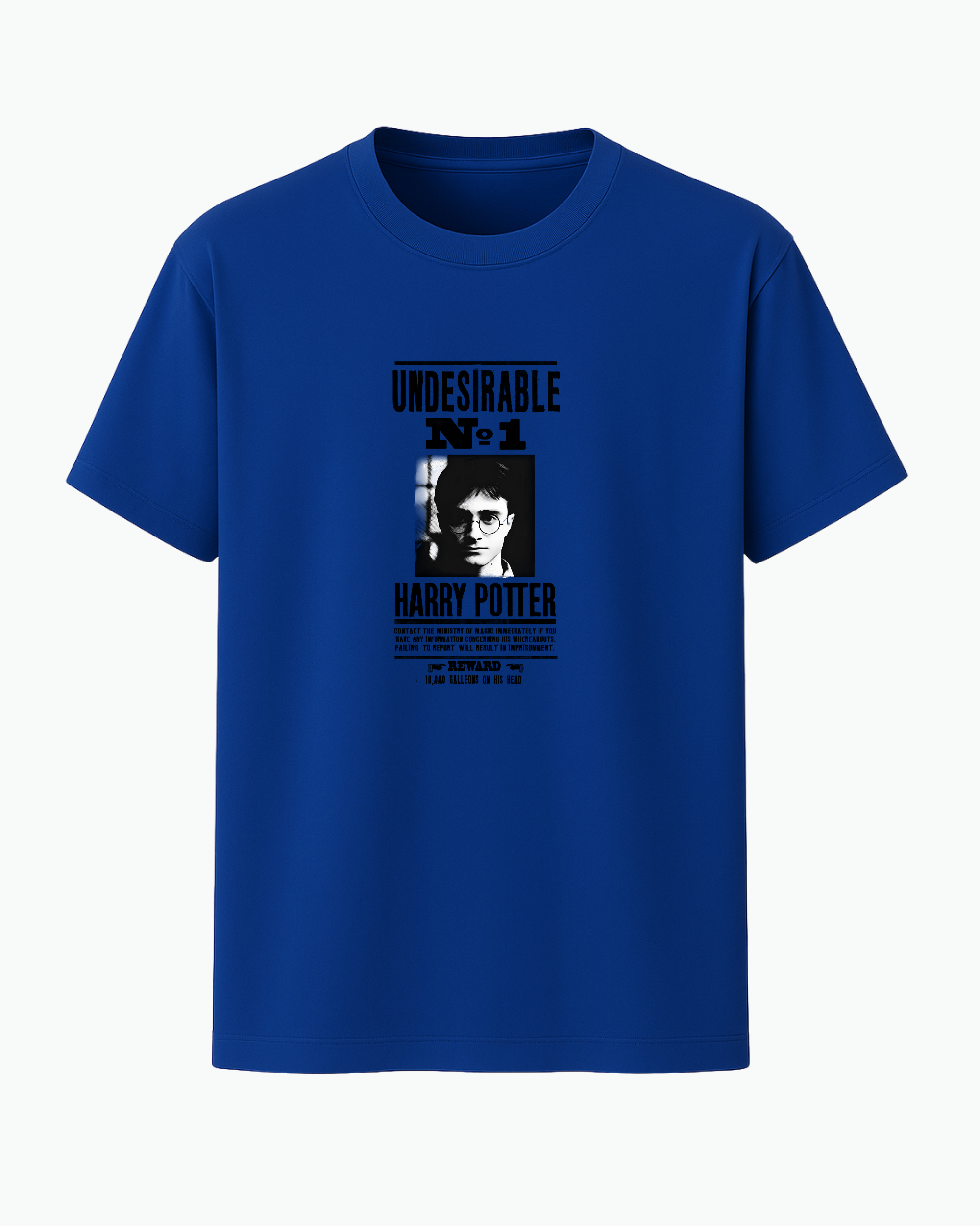 Harry Potter x Undesirable T-Shirt